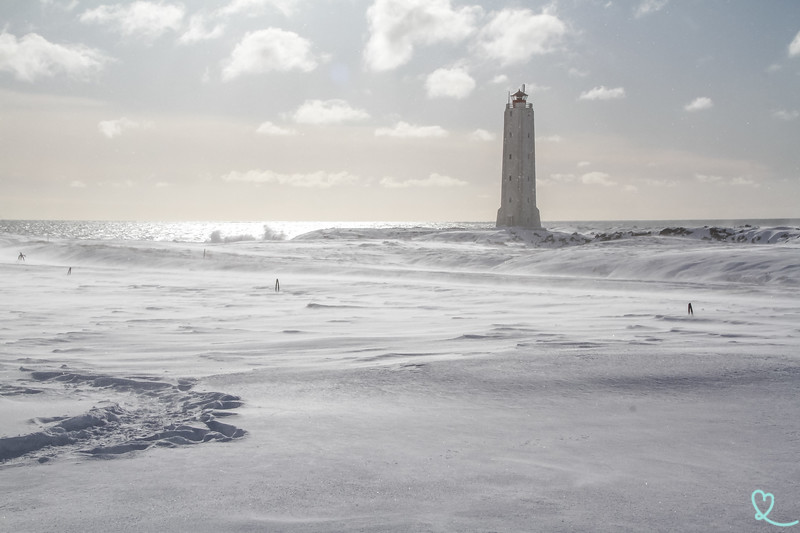 Malarrif vinter Snaefellsnes