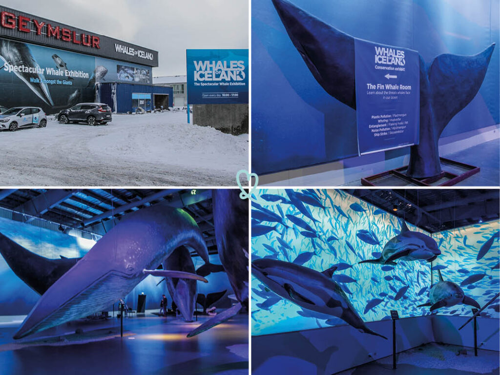 Nos conseils et photos pour visiter le Musée Whales of Iceland à Reykjavik: accès, points d'intérêt, infos pratiques